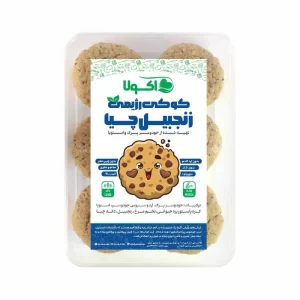 کوکی رژیمی زنجبیلی